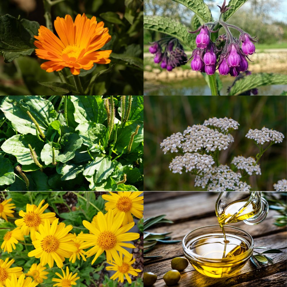 Herbal Rescue Balm: From Childhood Staple to Everyday Essential