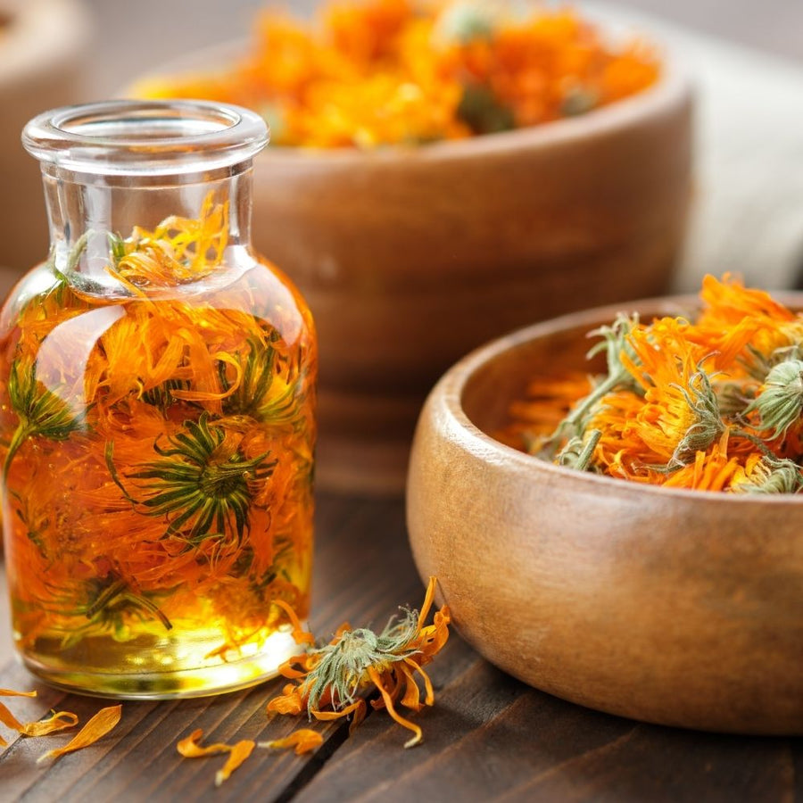 Calendula